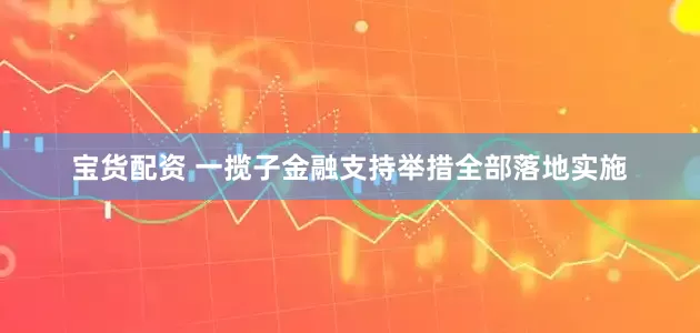 宝货配资 一揽子金融支持举措全部落地实施