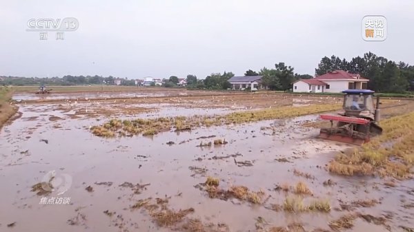 倍顺网 焦点访谈丨良田+良种+良机+良法&#32;来看各地保丰收秘籍