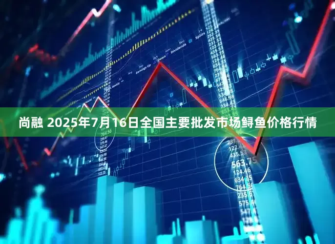 尚融 2025年7月16日全国主要批发市场鲟鱼价格行情