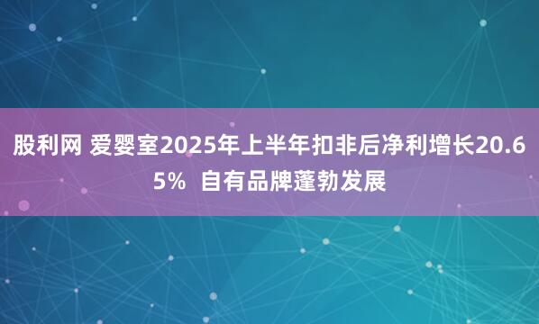股利网 爱婴室2025年上半年扣非后净利增长20.65%  自有品牌蓬勃发展