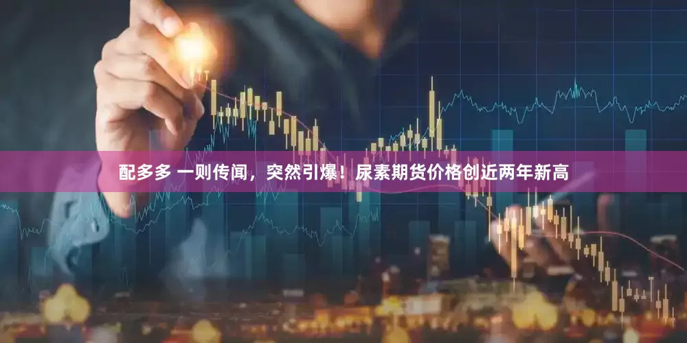 配多多 一则传闻，突然引爆！尿素期货价格创近两年新高
